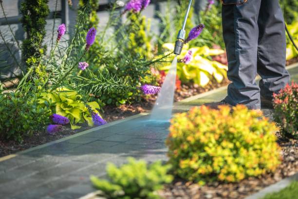 Best Parking Lot and Garage Cleaning  in Louise, TX