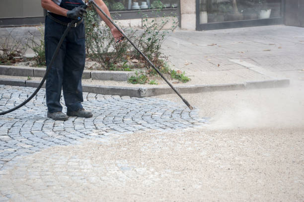 Best Winterizing Services  in Louise, TX