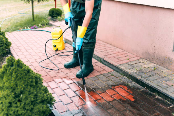 Best Fence Cleaning  in Louise, TX
