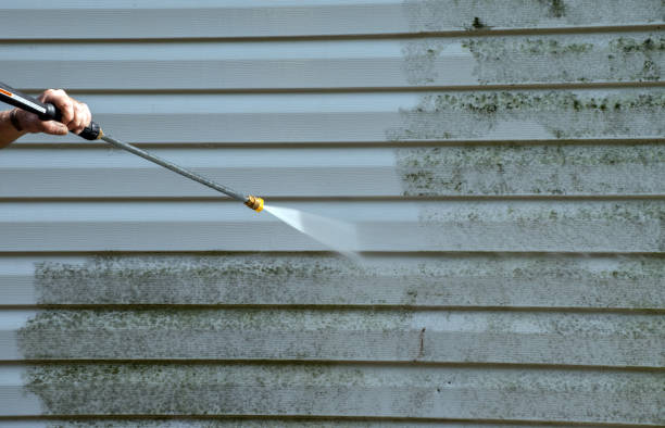 Trusted Louise, TX Pressure Washing Services Experts